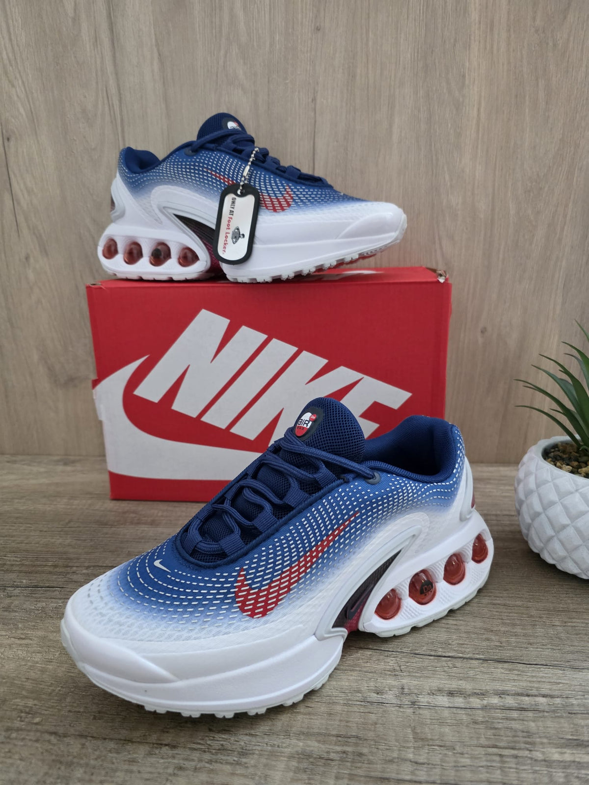 Zapaillas AirMax dn